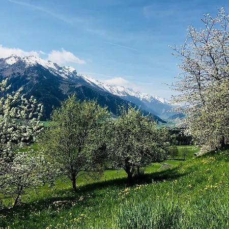 Διαμέρισμα Untersteinhof Mittersill