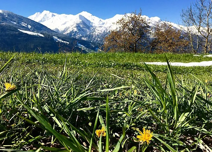 Untersteinhof * Mittersill