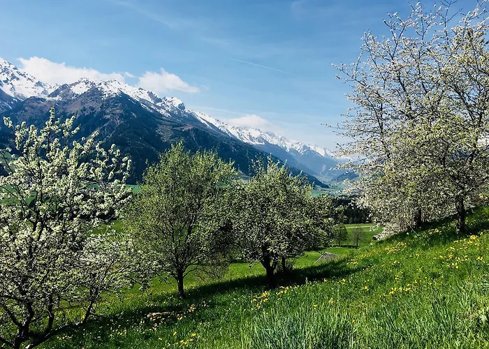 Apartamento Untersteinhof Mittersill